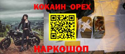 винт Бердск