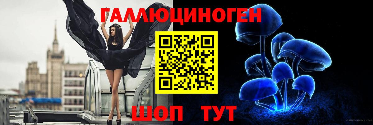Саранск  Псилоцибиновые грибы Psilocybe  Галлюциногенные грибы MAGIC MUSHROOMS  Вход с VPN 